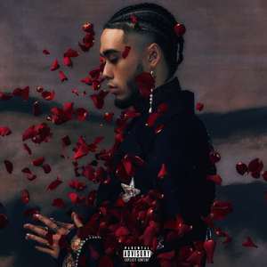 h视频在线网站hhh
