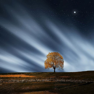 h视频在线网站hhh
